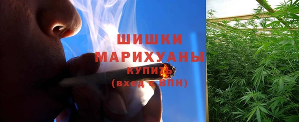 apvp Богородск