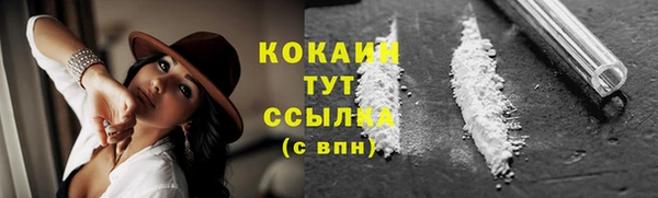 мяу мяу мука Богданович