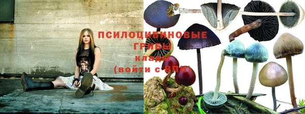 меф Беломорск