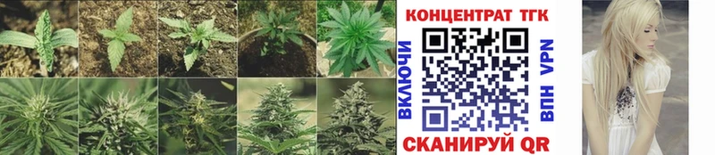 где продают Мезень ТГК THC oil