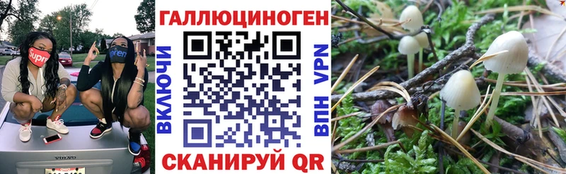 где купить наркотик  Мезень  Псилоцибиновые грибы Magic Shrooms 